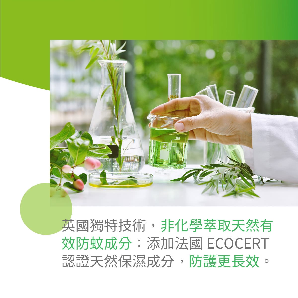 非化學萃取天然有效防蚊成份